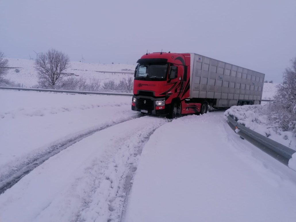 TRANSPORTE DE ANIMALES VIVOS EN ZARAGOZA