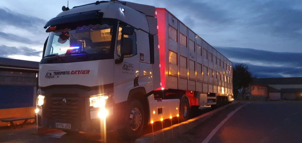 Transporte de carne en Zaragoza