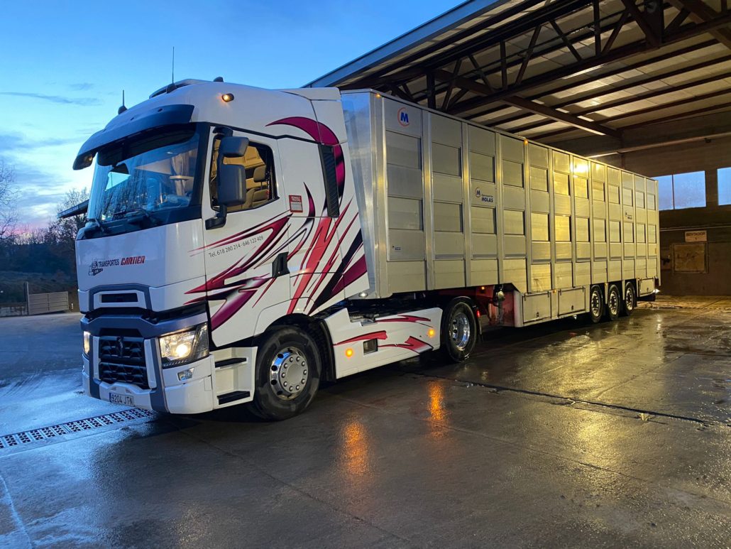 Servicio de transporte nacional de animales vivos en Zaragoza
