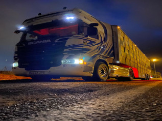 Camión jaula acondicionado para el transporte seguro de animales vivos 24 horas